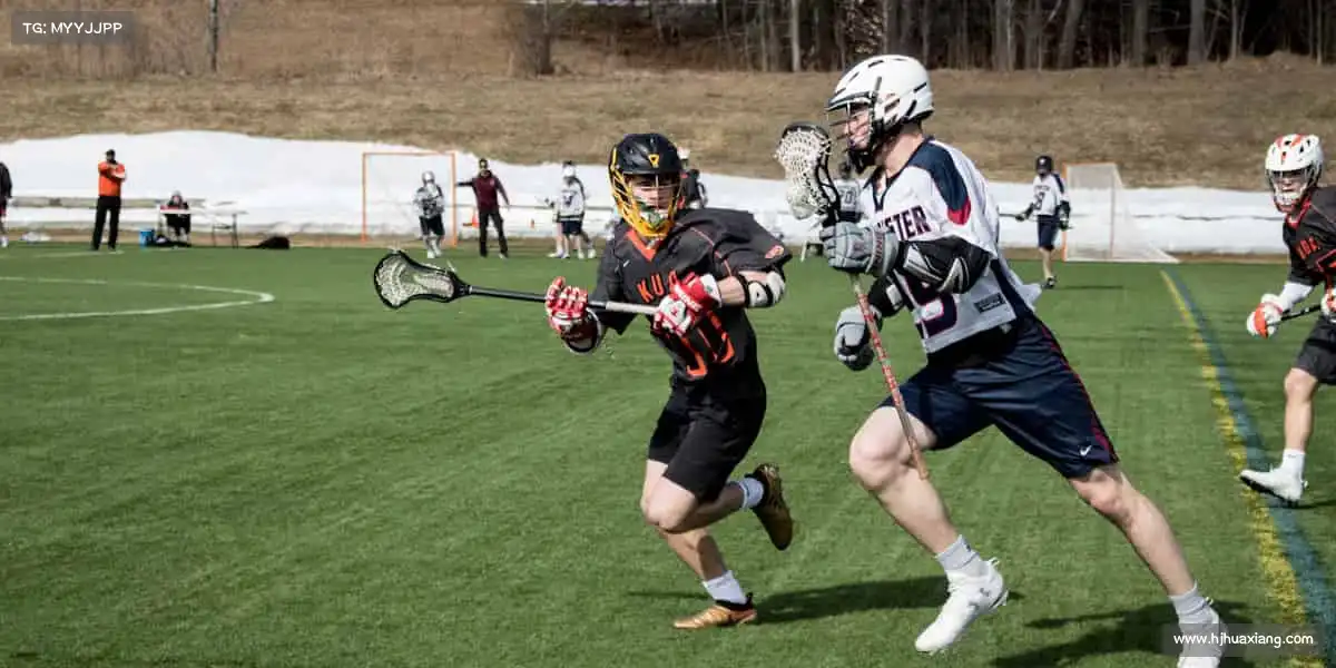 行业领先的理由